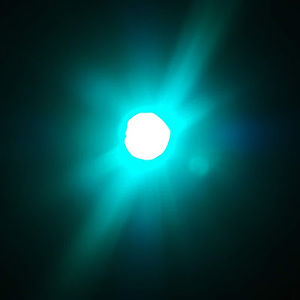 Meet your Posher, Fermin